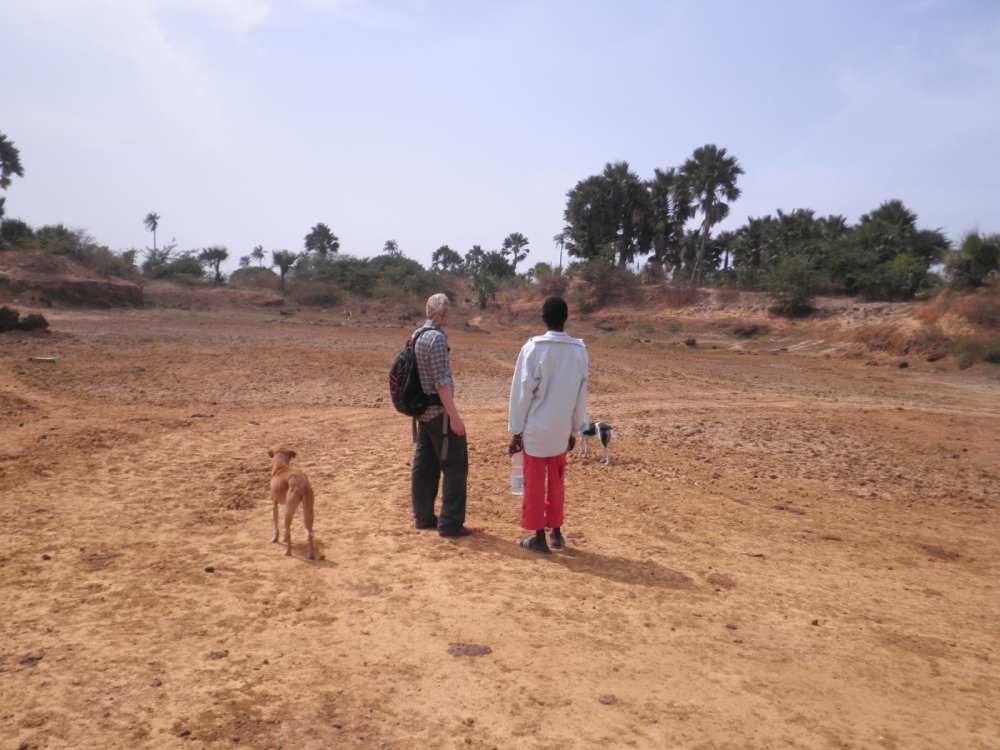 floating farm project