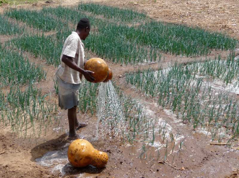 floating farm - food security africa