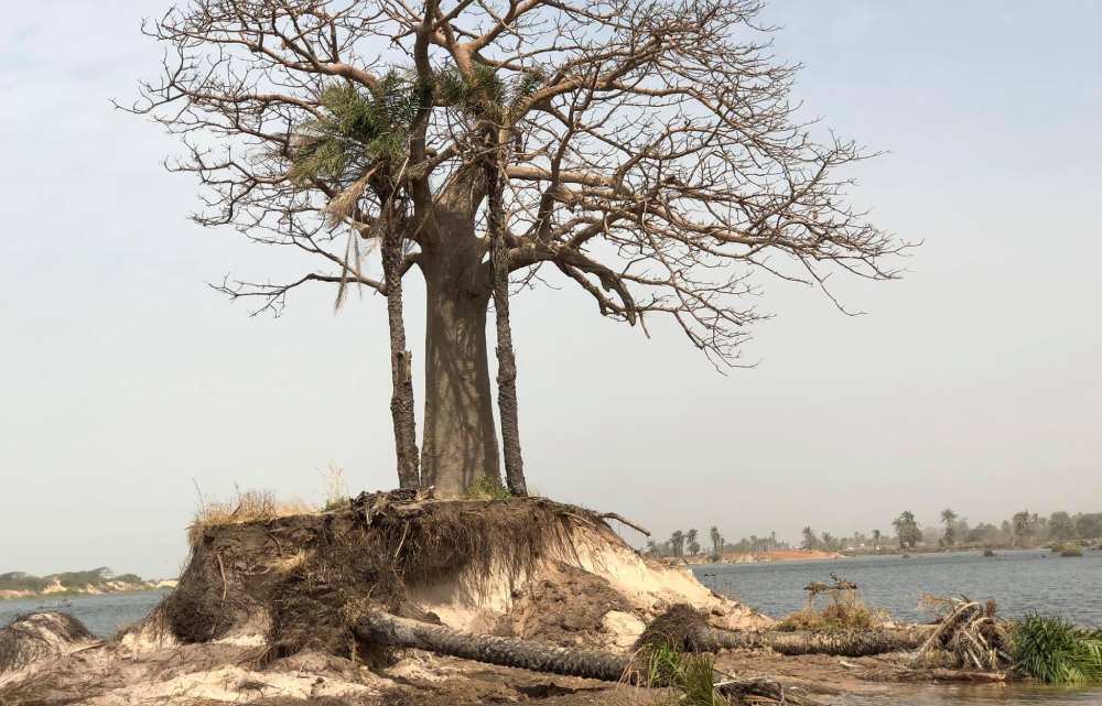 degradation of land gambia